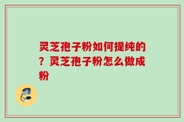 灵芝孢子粉如何提纯的？灵芝孢子粉怎么做成粉