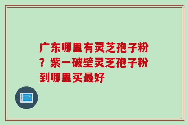 广东哪里有灵芝孢子粉？紫一破壁灵芝孢子粉到哪里买最好