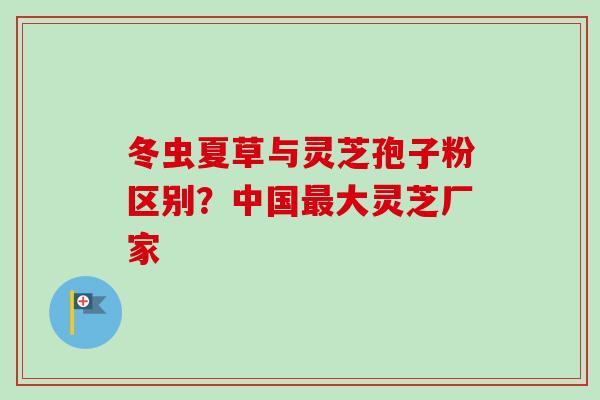 冬虫夏草与灵芝孢子粉区别？中国最大灵芝厂家