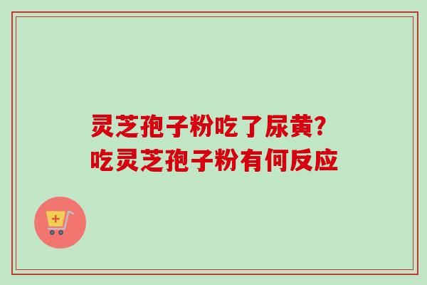 灵芝孢子粉吃了尿黄？吃灵芝孢子粉有何反应