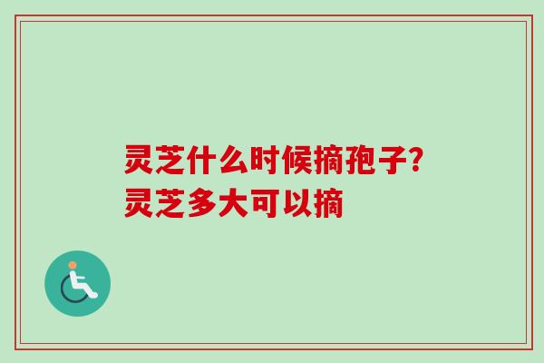 灵芝什么时候摘孢子？灵芝多大可以摘