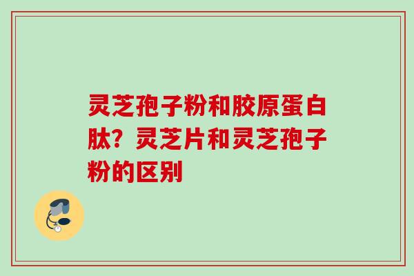 灵芝孢子粉和胶原蛋白肽？灵芝片和灵芝孢子粉的区别