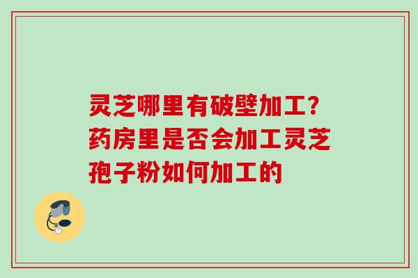 灵芝哪里有破壁加工？药房里是否会加工灵芝孢子粉如何加工的