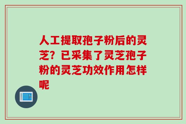 人工提取孢子粉后的灵芝？已采集了灵芝孢子粉的灵芝功效作用怎样呢