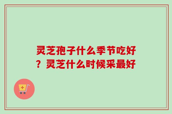 灵芝孢子什么季节吃好？灵芝什么时候采好