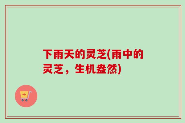 下雨天的灵芝(雨中的灵芝，生机盎然)