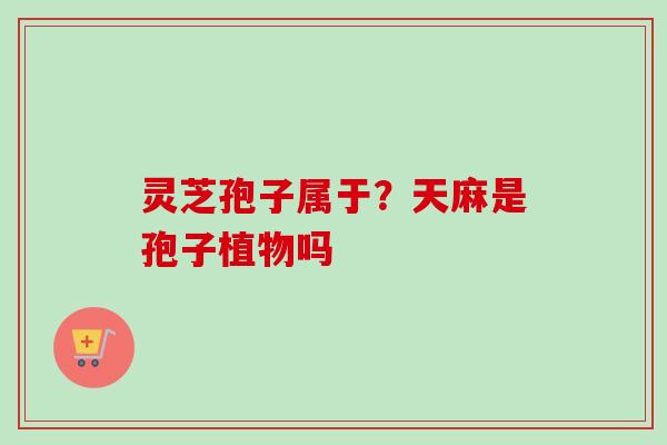 灵芝孢子属于?天麻是孢子植物吗 灵芝孢子属于?天麻是孢子植物吗