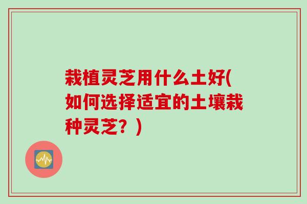 栽植灵芝用什么土好(如何选择适宜的土壤栽种灵芝?) 栽植灵芝用什么土好(如何选择适宜的土壤栽种灵芝?)