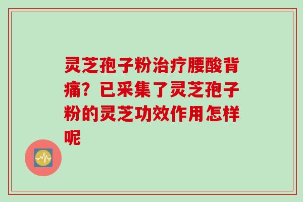 灵芝孢子粉腰酸背痛?已采集了灵芝孢子粉的灵芝功效作用怎样呢 灵芝孢子粉腰酸背痛?已采集了灵芝孢子粉的灵芝功效作用怎样呢