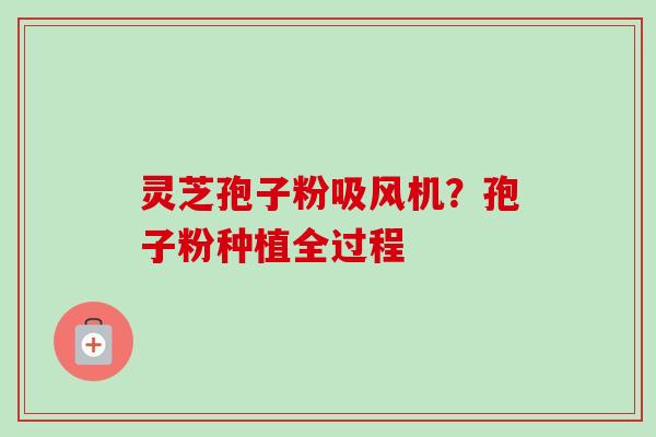 灵芝孢子粉吸风机？孢子粉种植全过程