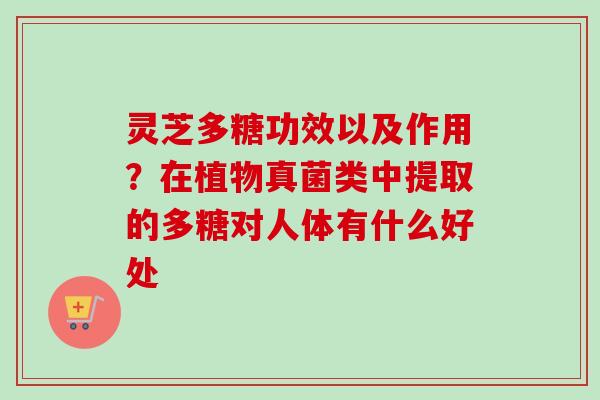 灵芝多糖功效以及作用?在植物真菌类中提取的多糖对人体有什么好处 灵芝多糖功效以及作用?在植物真菌类中提取的多糖对人体有什么好处