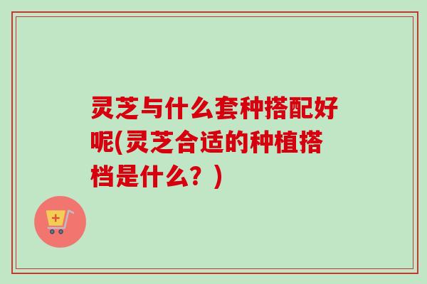 灵芝与什么套种搭配好呢(灵芝合适的种植搭档是什么?) 灵芝与什么套种搭配好呢(灵芝合适的种植搭档是什么?)