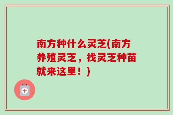 南方种什么灵芝(南方养殖灵芝，找灵芝种苗就来这里！)