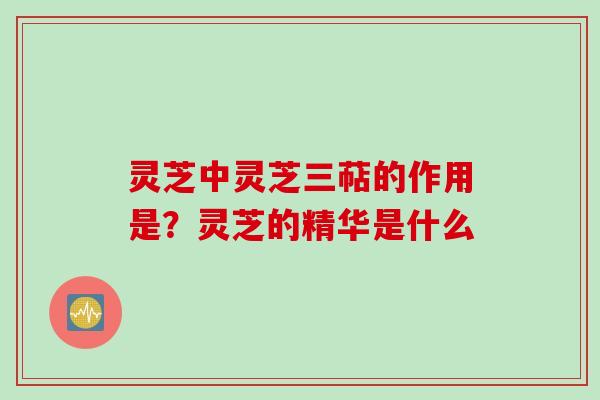 灵芝中灵芝三萜的作用是？灵芝的精华是什么