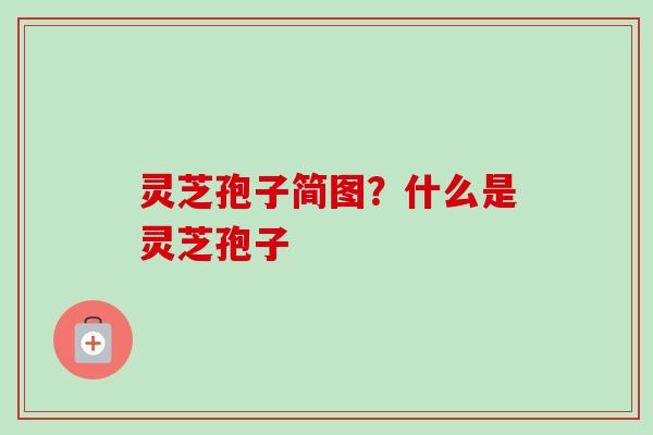 灵芝孢子简图？什么是灵芝孢子