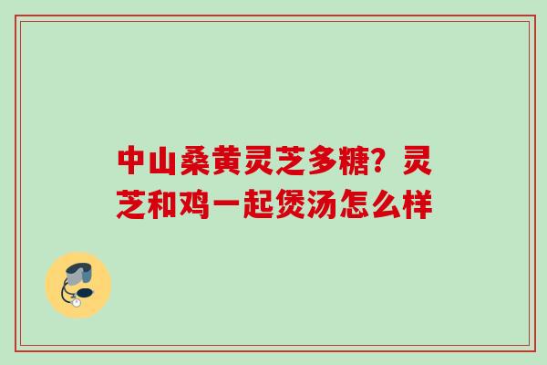 中山桑黄灵芝多糖？灵芝和鸡一起煲汤怎么样