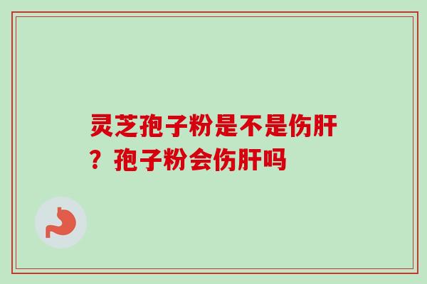 灵芝孢子粉是不是伤?孢子粉会伤吗 灵芝孢子粉是不是伤?孢子粉会伤吗