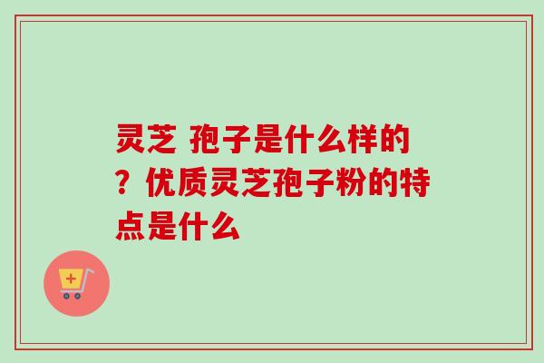 灵芝 孢子是什么样的？优质灵芝孢子粉的特点是什么