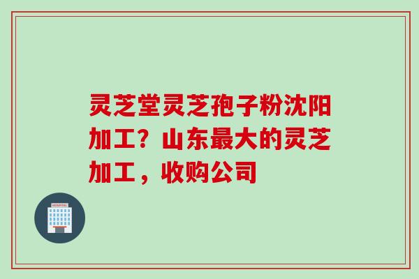 灵芝堂灵芝孢子粉沈阳加工？山东最大的灵芝加工，收购公司