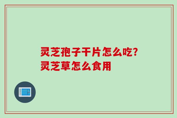 灵芝孢子干片怎么吃？灵芝草怎么食用