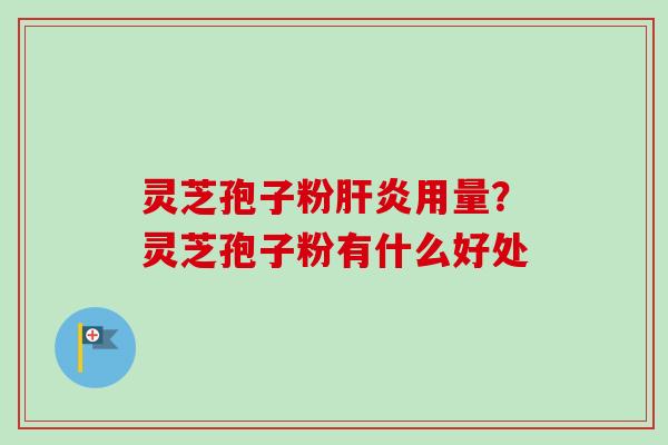 灵芝孢子粉肝炎用量？灵芝孢子粉有什么好处