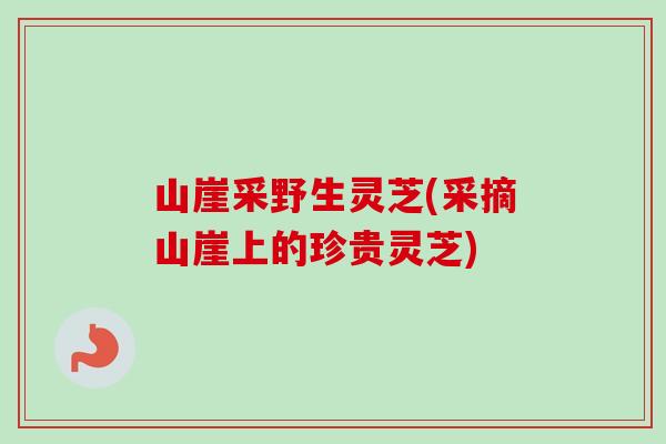 山崖采野生灵芝(采摘山崖上的珍贵灵芝)