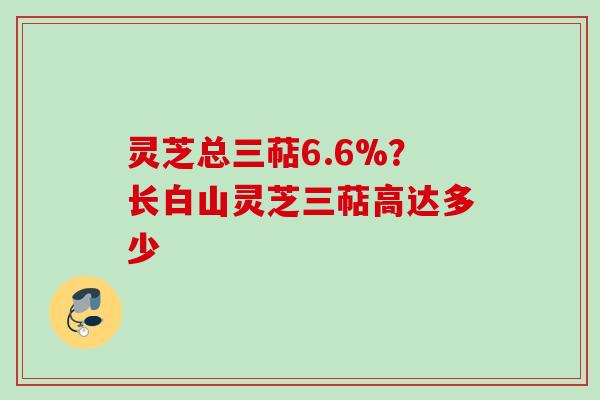 灵芝总三萜6.6%？长白山灵芝三萜高达多少