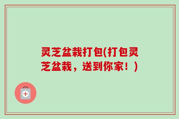 灵芝盆栽打包(打包灵芝盆栽，送到你家！)