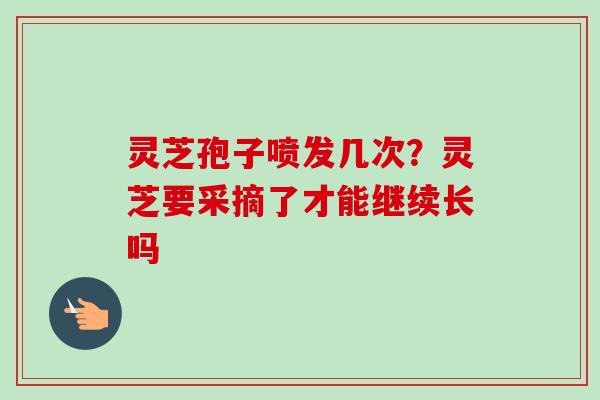 灵芝孢子喷发几次？灵芝要采摘了才能继续长吗