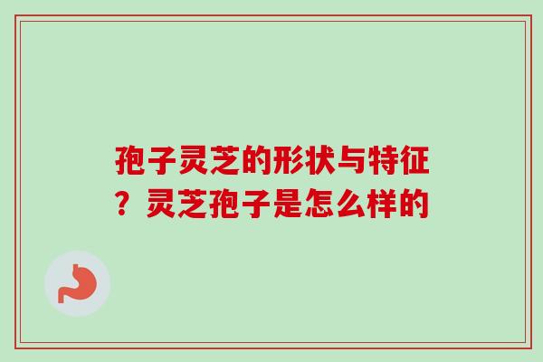 孢子灵芝的形状与特征？灵芝孢子是怎么样的