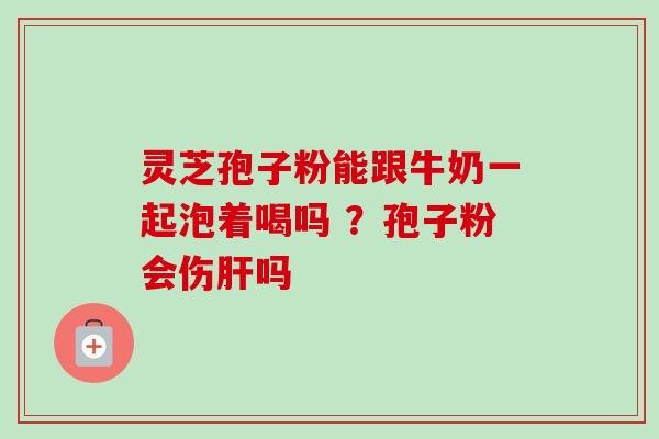 灵芝孢子粉能跟牛奶一起泡着喝吗 ？孢子粉会伤肝吗