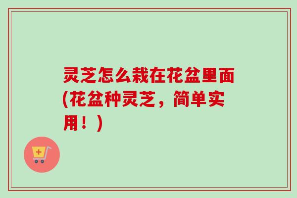 灵芝怎么栽在花盆里面(花盆种灵芝，简单实用！)