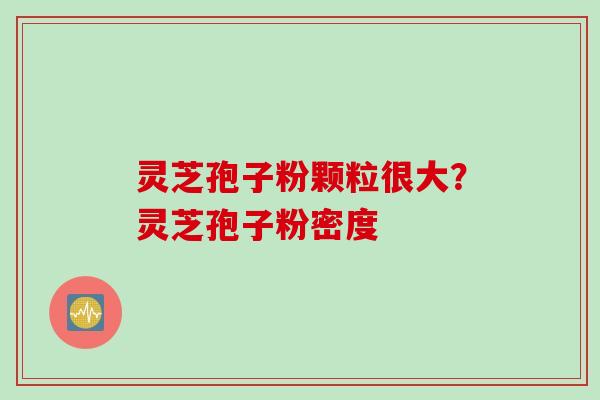 灵芝孢子粉颗粒很大？灵芝孢子粉密度