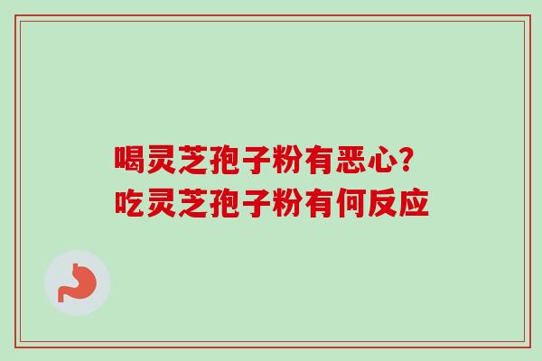 喝灵芝孢子粉有恶心?吃灵芝孢子粉有何反应 喝灵芝孢子粉有恶心?吃灵芝孢子粉有何反应