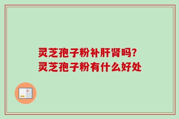 灵芝孢子粉补肝肾吗？灵芝孢子粉有什么好处