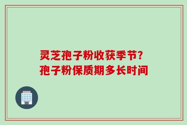 灵芝孢子粉收获季节？孢子粉保质期多长时间