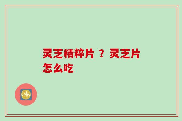 灵芝精粹片 ？灵芝片怎么吃