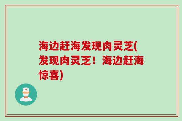 海边赶海发现肉灵芝(发现肉灵芝！海边赶海惊喜)