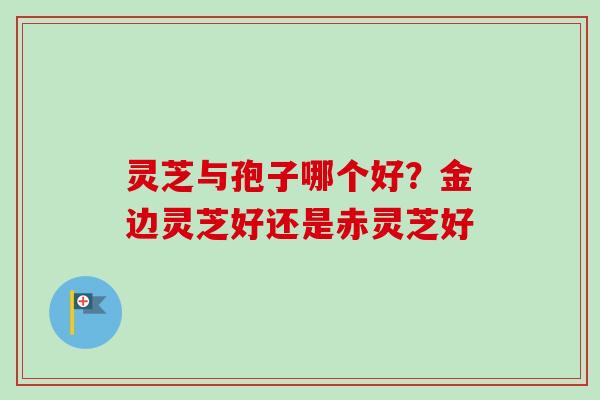 灵芝与孢子哪个好？金边灵芝好还是赤灵芝好