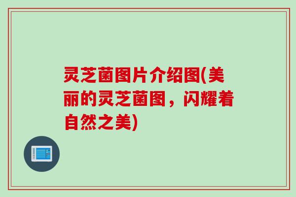 灵芝菌图片介绍图(美丽的灵芝菌图，闪耀着自然之美)