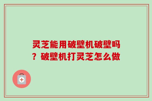 灵芝能用破壁机破壁吗？破壁机打灵芝怎么做