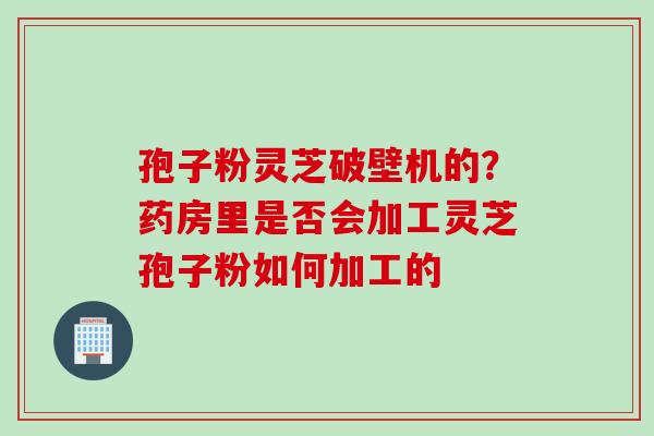 孢子粉灵芝破壁机的？药房里是否会加工灵芝孢子粉如何加工的