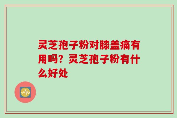 灵芝孢子粉对膝盖痛有用吗？灵芝孢子粉有什么好处