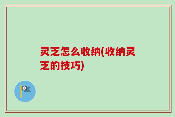 灵芝怎么收纳(收纳灵芝的技巧)