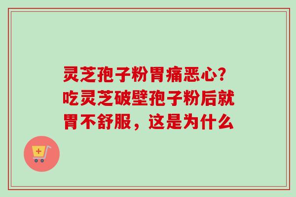 灵芝孢子粉胃痛恶心？吃灵芝破壁孢子粉后就胃不舒服，这是为什么