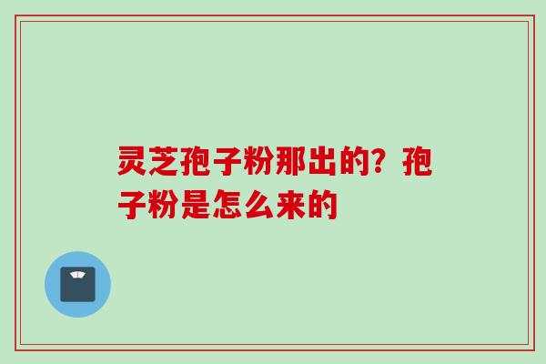 灵芝孢子粉那出的？孢子粉是怎么来的
