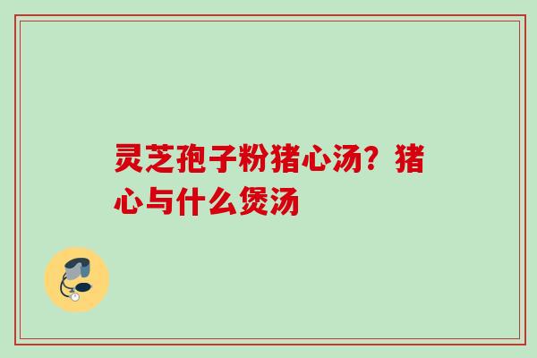 灵芝孢子粉猪心汤？猪心与什么煲汤