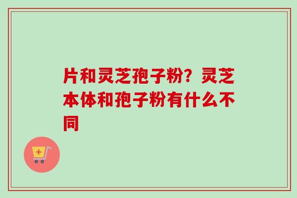 片和灵芝孢子粉？灵芝本体和孢子粉有什么不同