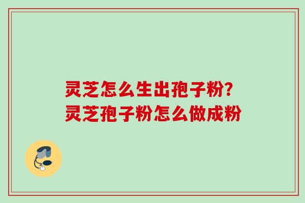 灵芝怎么生出孢子粉？灵芝孢子粉怎么做成粉