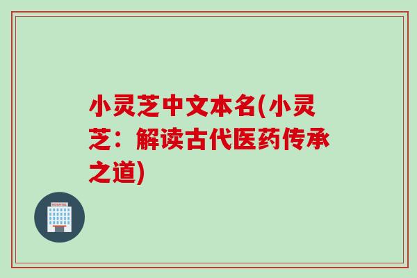 小灵芝中文本名(小灵芝：解读古代医药传承之道)